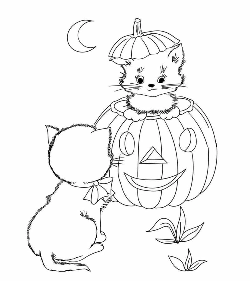 Tranh tô màu Halloween phù thủy ma thuật huyền bí