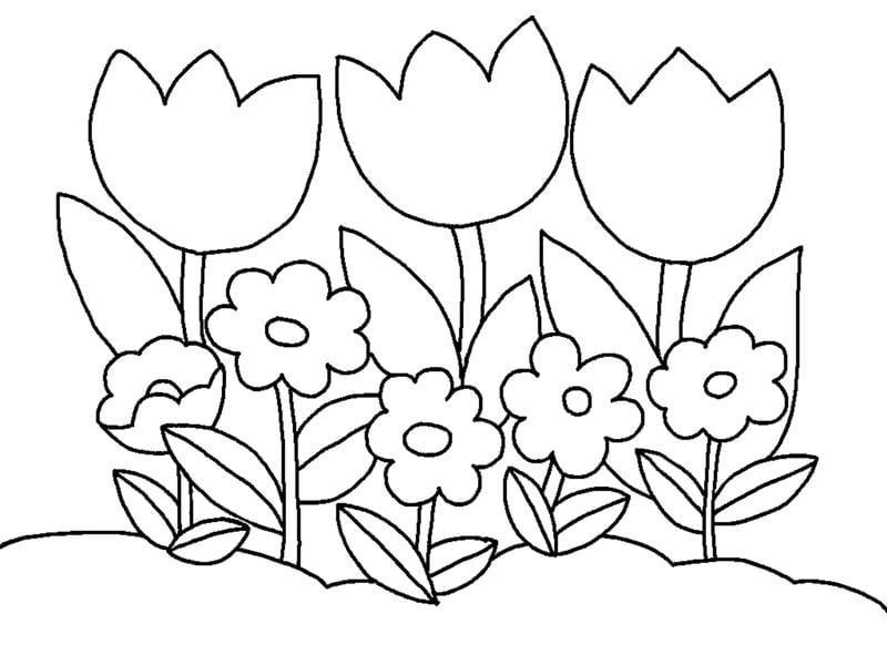 Tranh tô màu hoa tulip cute ngọt ngào nổi bật