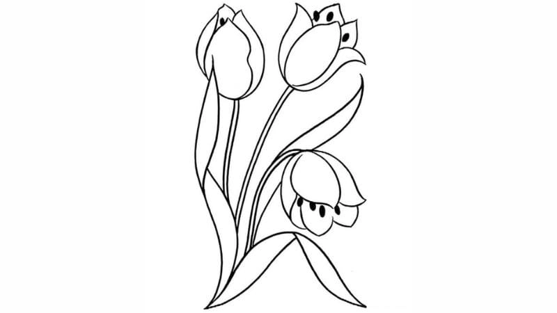 Tu lip tranh tô màu hoa tulip cho bé gái