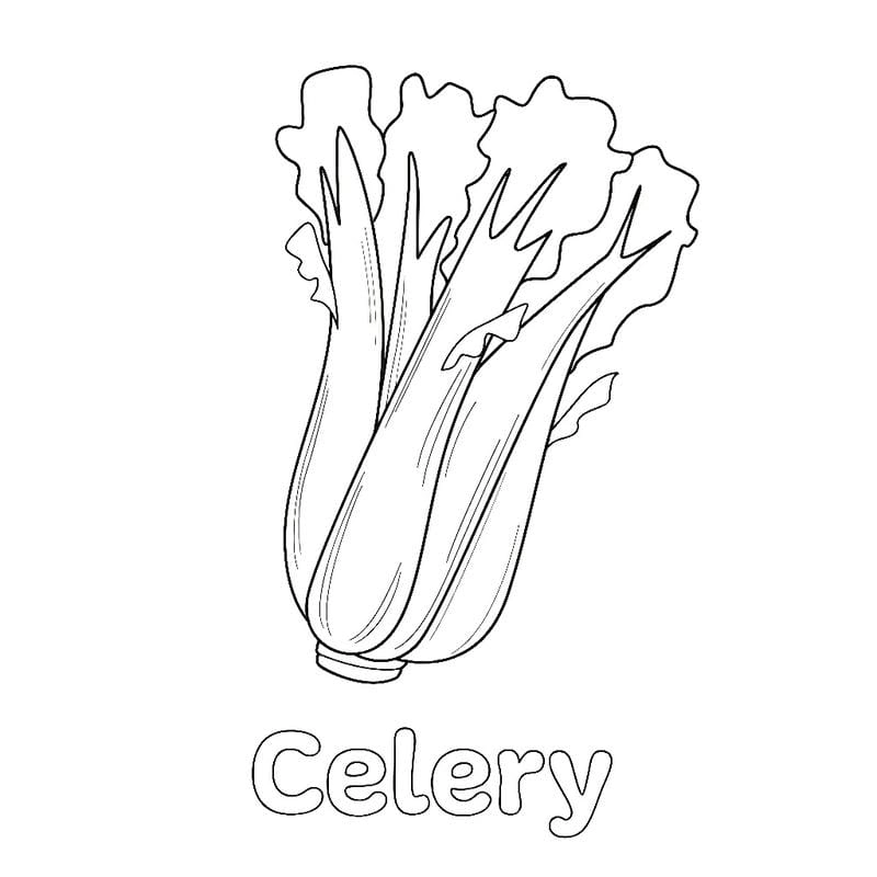 Tô màu các loại rau nhiều màu sắc dễ thương cho bé