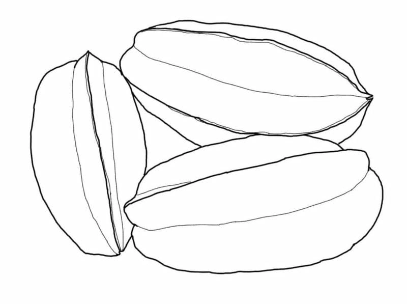 Hình ảnh rau củ quả cho bé tô màu đa dạng hình vẽ