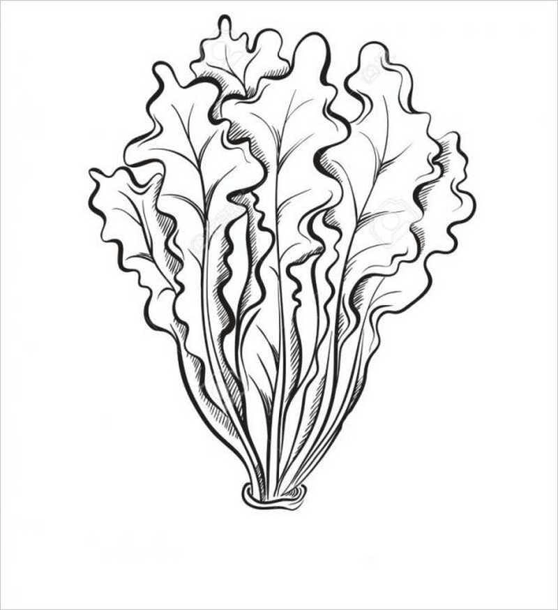 Hình tô màu rau củ quả đa dạng dễ tô cho bé yêu