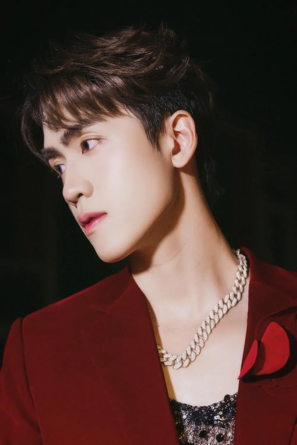 Nhóm nhạc đình đám Vũ Thịnh The Wings