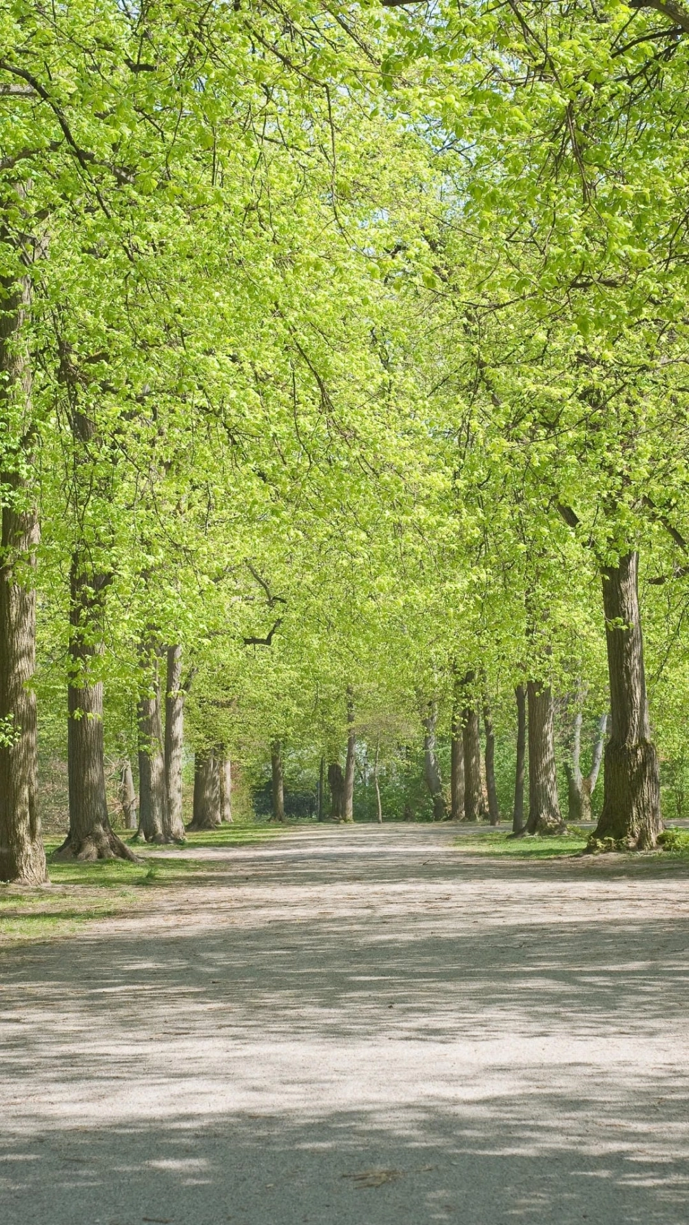 Ảnh avatar phong cảnh - 99+ ảnh đẹp và bình yên cho bạn