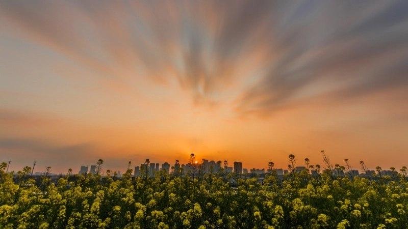 Ảnh bìa phong cảnh buồn đầy tâm trạng