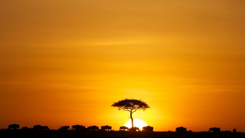 Top ảnh bìa phong cảnh đẹp cho Facebook và Zalo