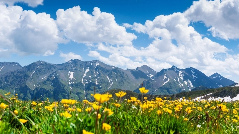 Ảnh bìa màu xanh da trời dịu mát