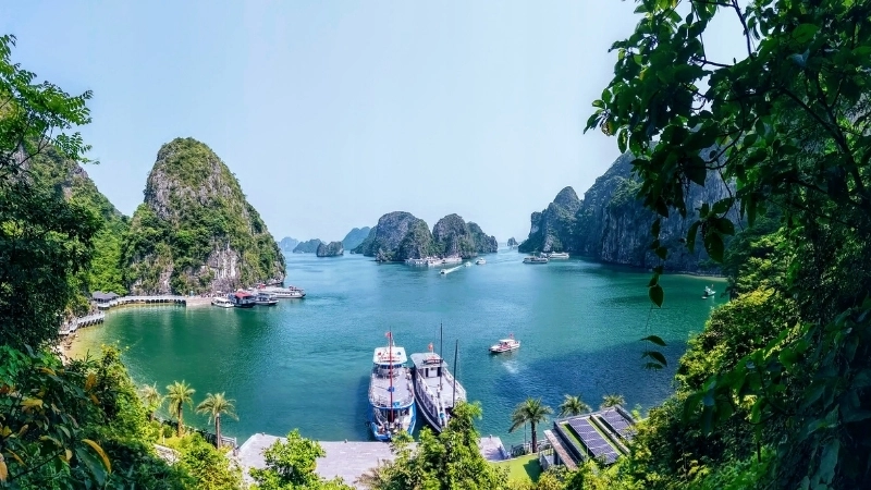 Một chiếc hình nền khung cảnh chill cho buổi chiều