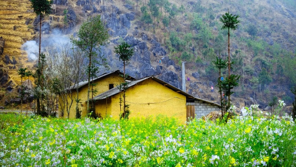 Ảnh phong cảnh Hà Giang - Vẻ đẹp từ đá và hoa