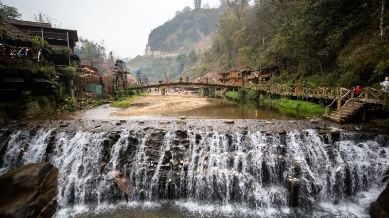 Nét hùng vĩ của phong cảnh sapa mùa lúa chín