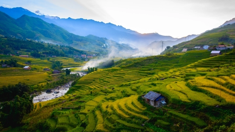 Ruộng bậc thang trong hình ảnh sapa