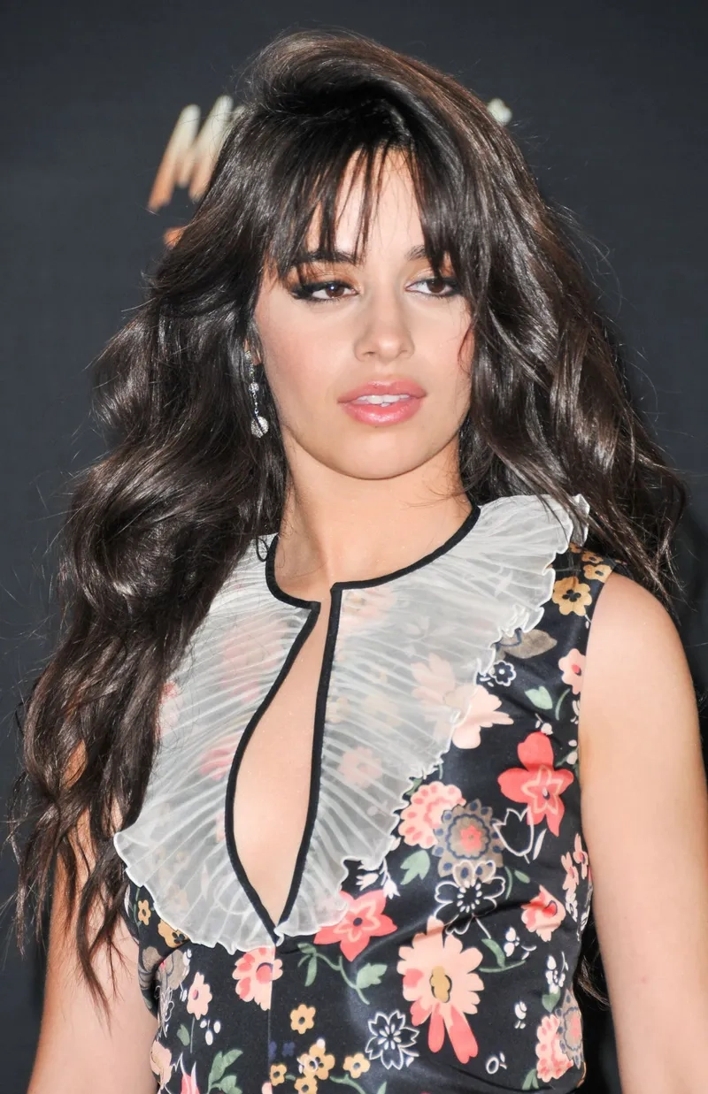Khoảnh khắc ngọt ngào của Camila Cabello Shawn Mendes