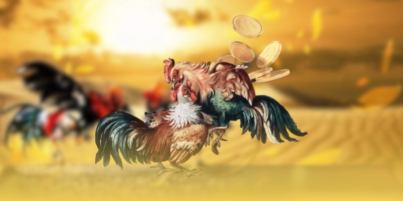Lý do đá gà 28BET thu hút nhiều người tham gia
