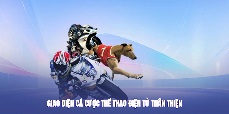 Giao diện cá cược thể thao điện tử thân thiện