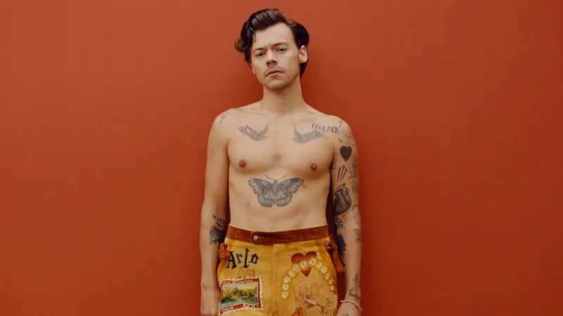 Bộ sưu tập ảnh lịch lãm của Harry Styles trên thảm đỏ