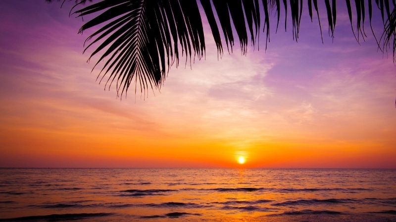 Tranh phong cảnh hoàng hôn treo tường