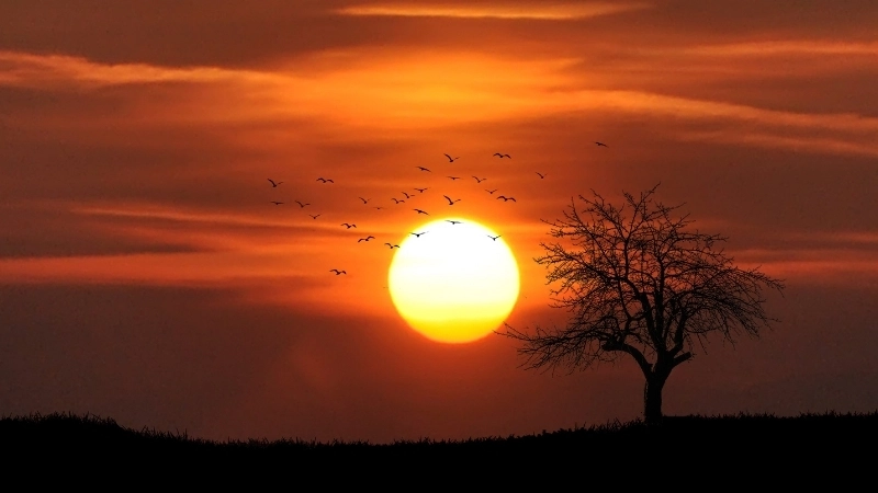 101+ Hình nền cảnh hoàng hôn lãng mạn và bình yên nhất