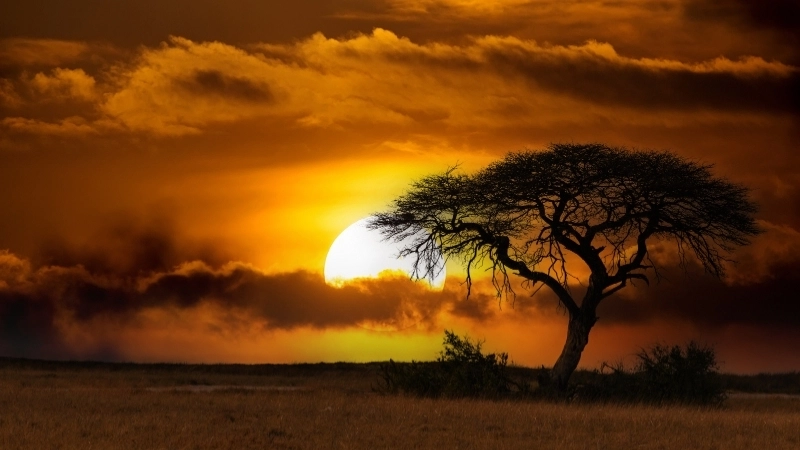 Cách vẽ tranh cảnh hoàng hôn đơn giản