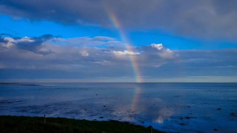 Hình nền cầu vồng - Mang 7 sắc màu rực rỡ cho màn hình