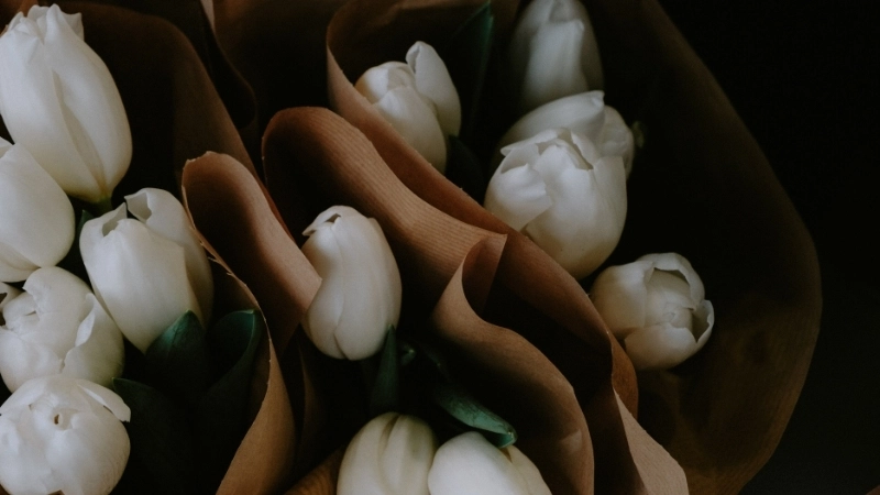Cánh đồng hoa tulip làm hình nền