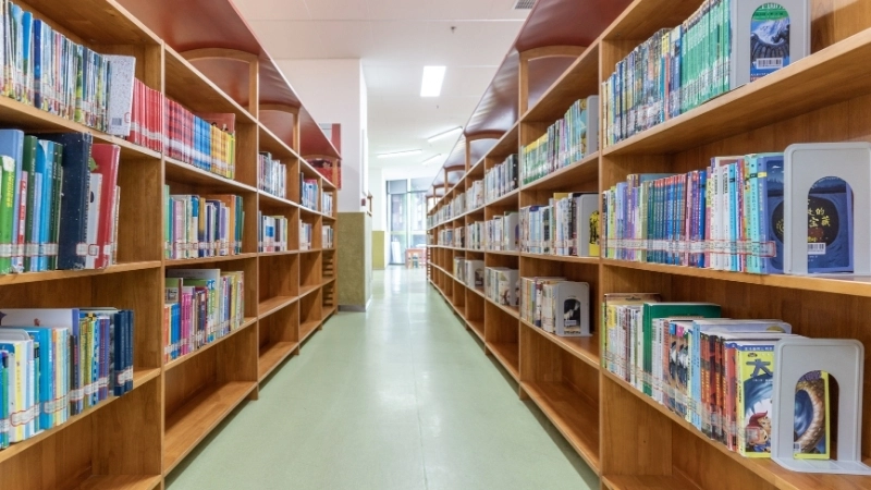 Mẫu hình nền kệ sách đẹp và tinh tế