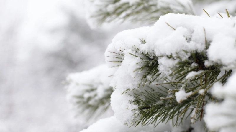 Hình nền tuyết 4k - Top ảnh tuyết rơi đẹp và lãng mạn