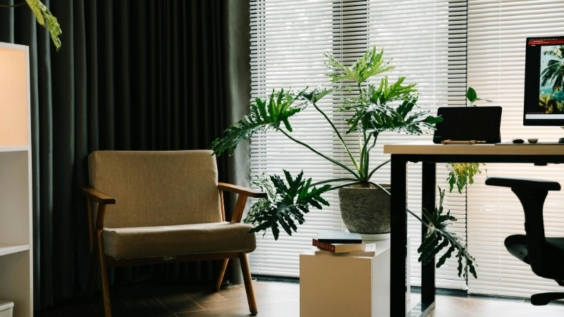 Mẫu hình nền phòng làm việc tối giản
