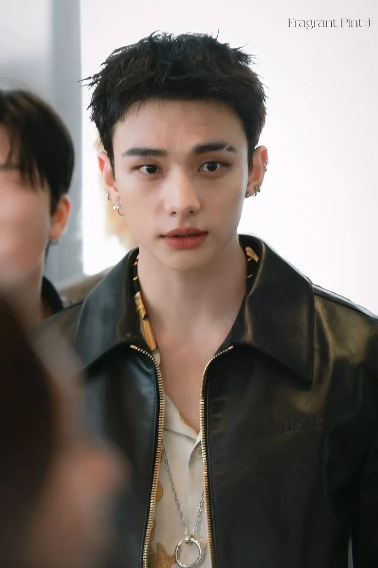 Visual đỉnh cao của Hyunjin Stray Kids
