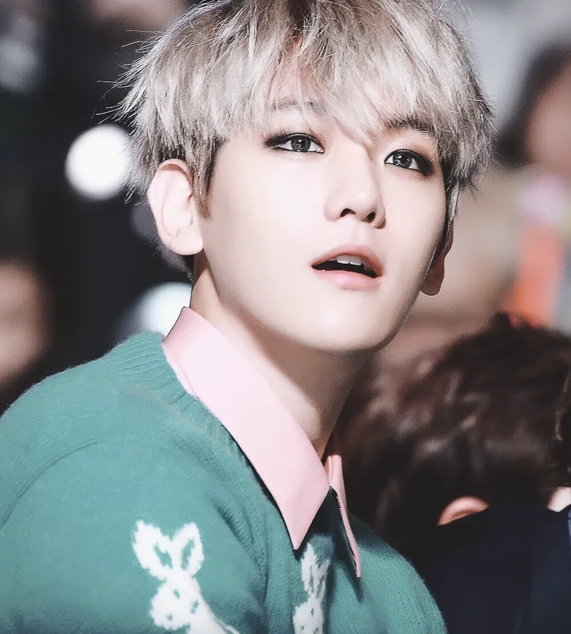 Top những idol kpop đẹp trai nhất mọi thời đại