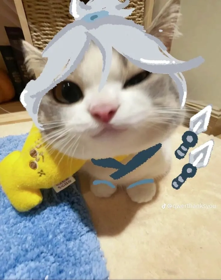 Jett meme - Tổng hợp những khoảnh khắc hài hước nhất Valorant