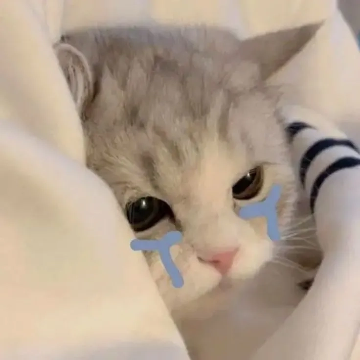 Meme emoji khóc tan chảy vì deadline