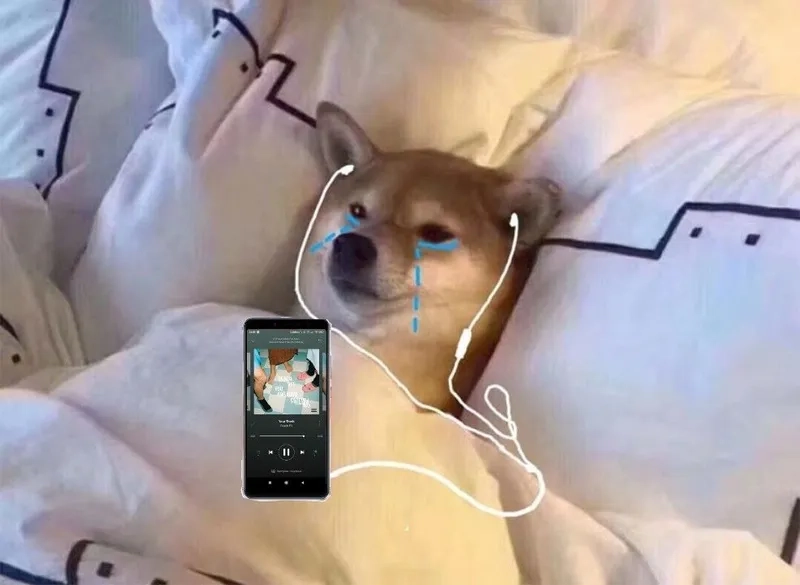 Meme biểu tượng cảm xúc khóc - Cười xỉu với loạt ảnh chế