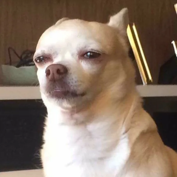 Phản ứng của meme cô gái kombucha khi nếm thử