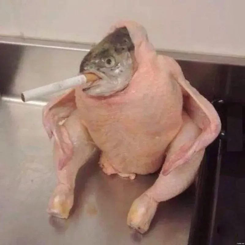 Top những hình ảnh meme cá hài hước không thể bỏ lỡ