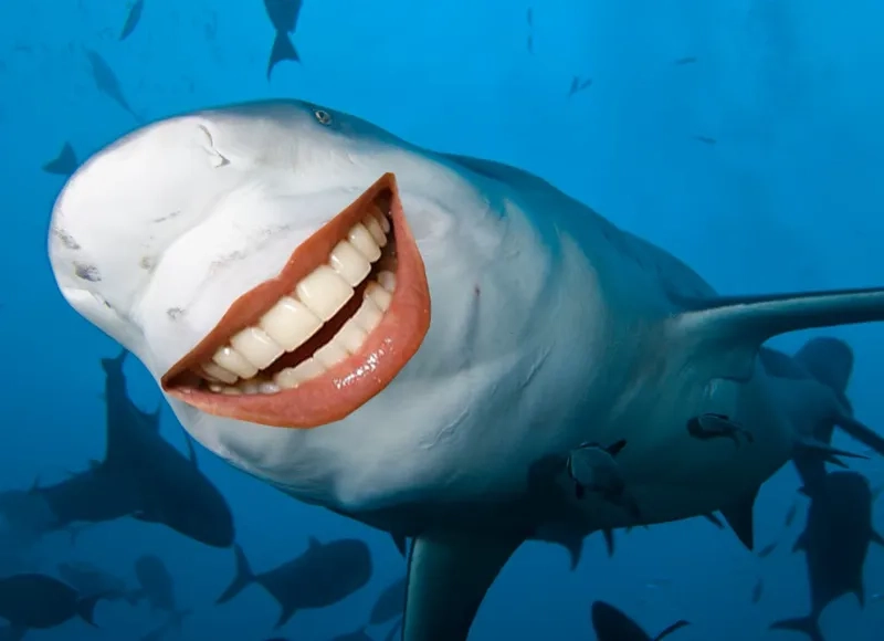 Tiếng hét câm lặng trong meme cá la hét