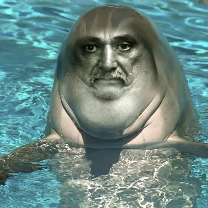 Meme cá heo và những câu chuyện dở khóc dở cười