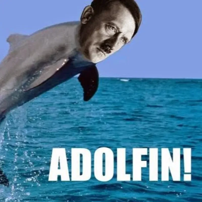 Meme cá heo - Từ hài hước đến những phiên bản bị nguyền