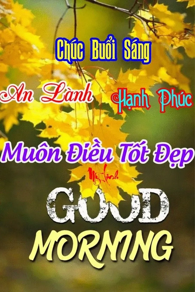 Chú mèo này chúc bạn một buổi sáng tốt lành
