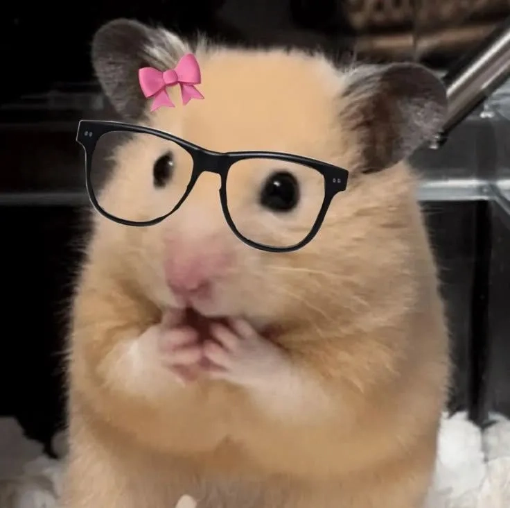 Meme hamster giơ dấu hòa bình cực yêu