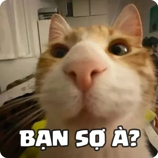 Meme ngại ngùng khi được ai đó khen