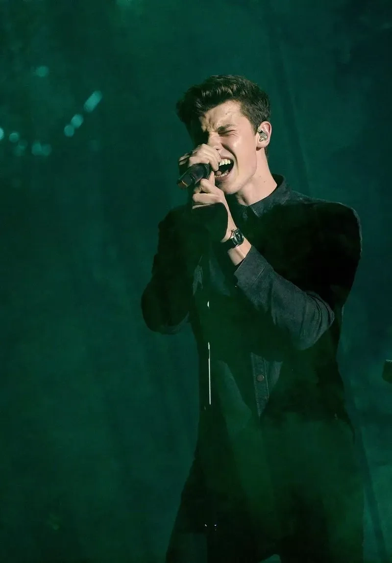 Giai điệu quen thuộc từ Shawn Mendes Stitches