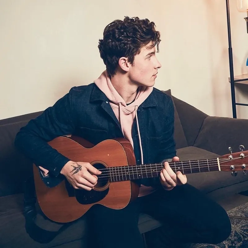 Khoảnh khắc bùng nổ trong ca khúc Shawn Mendes Stitches