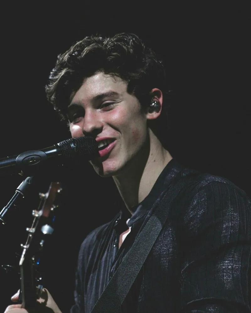 Nụ cười làm tan chảy trái tim fan của Shawn Mendes