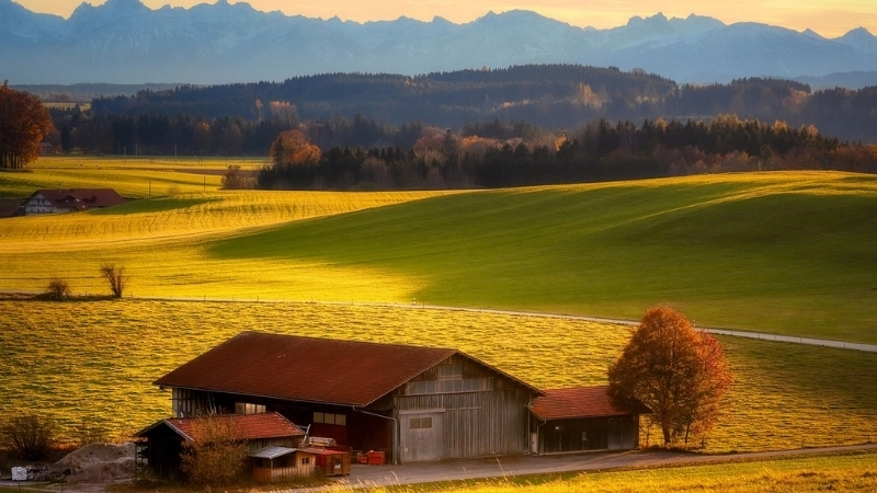 Say đắm tranh phong cảnh làng quê đẹp nhất 2025