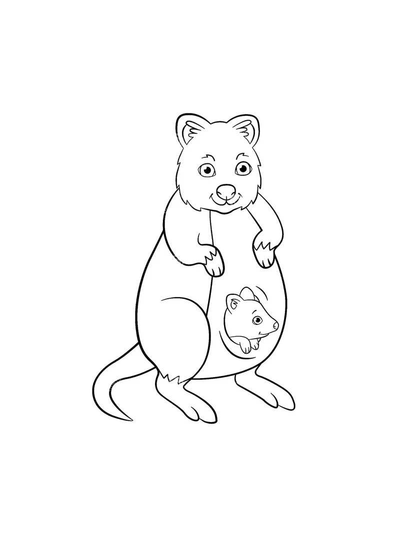 Một mẫu tô màu quokka dễ thương cho bé