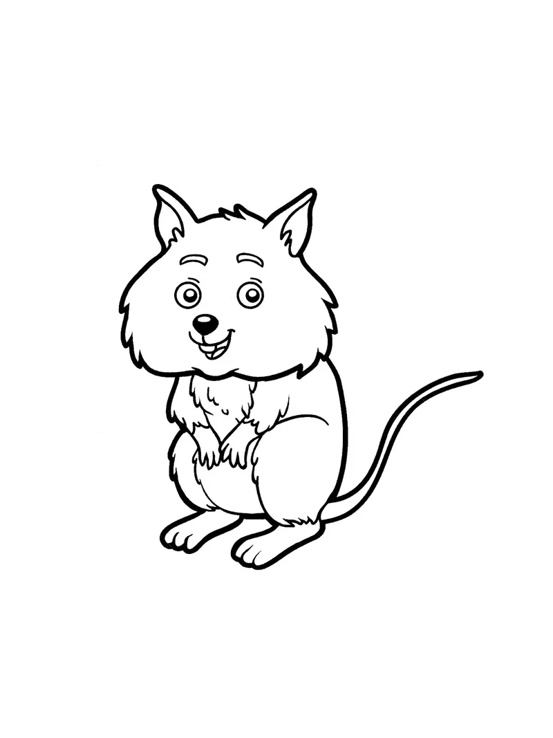 Tranh tô màu chuột quokka chibi đáng yêu