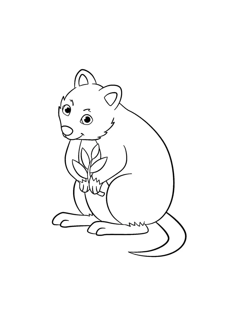 Một mẫu tô màu quokka dễ thương cho bé