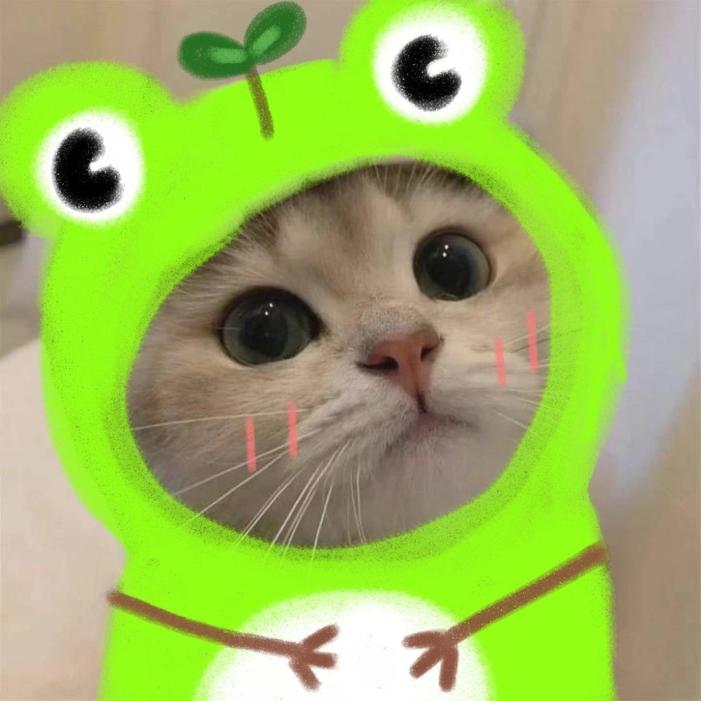 Avatar mèo cute cho nữ