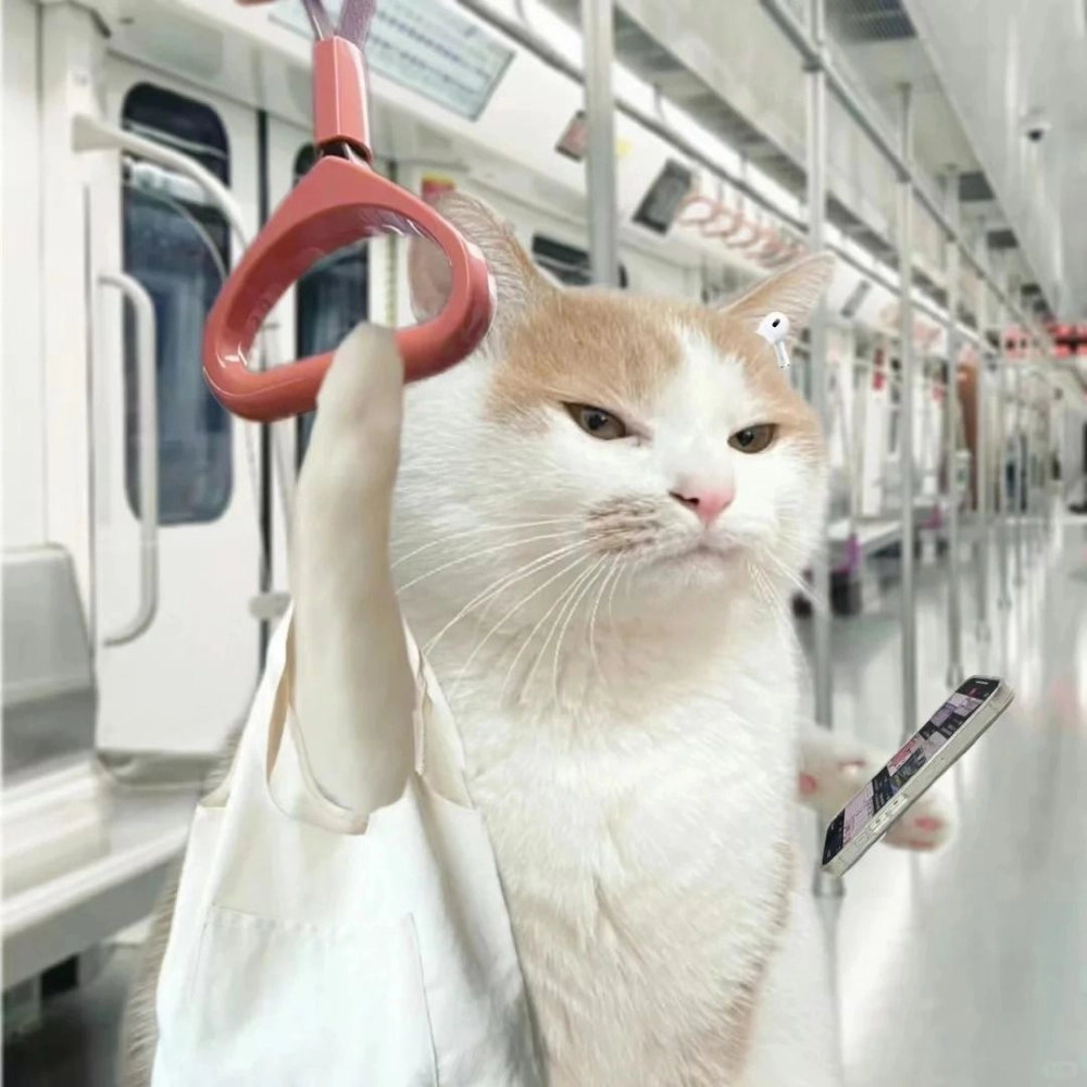 Một mẫu avatar mèo cute cho nữ