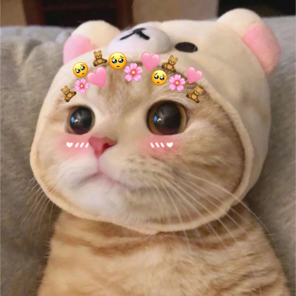 Vẻ bí ẩn của avatar mèo đen
